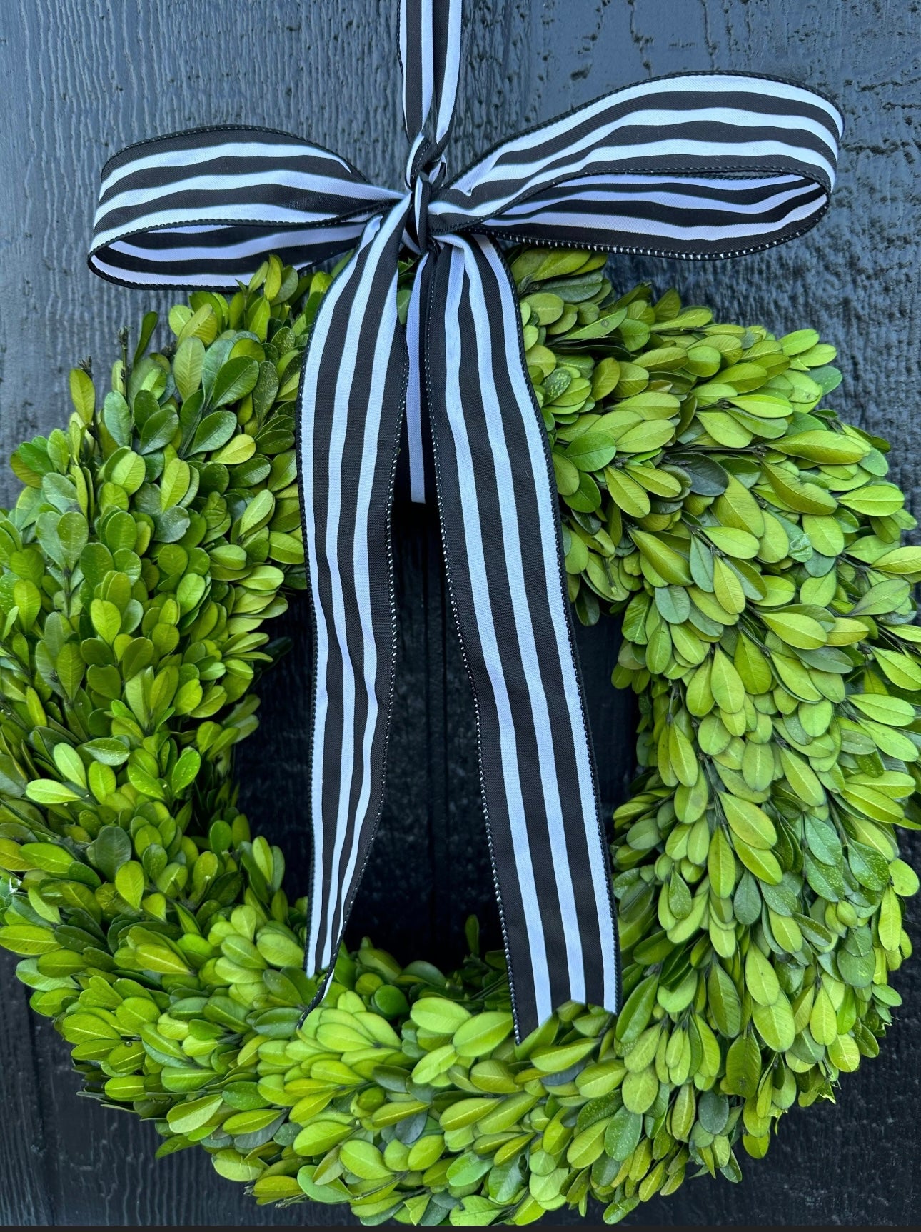 Preserved boxwood wreath