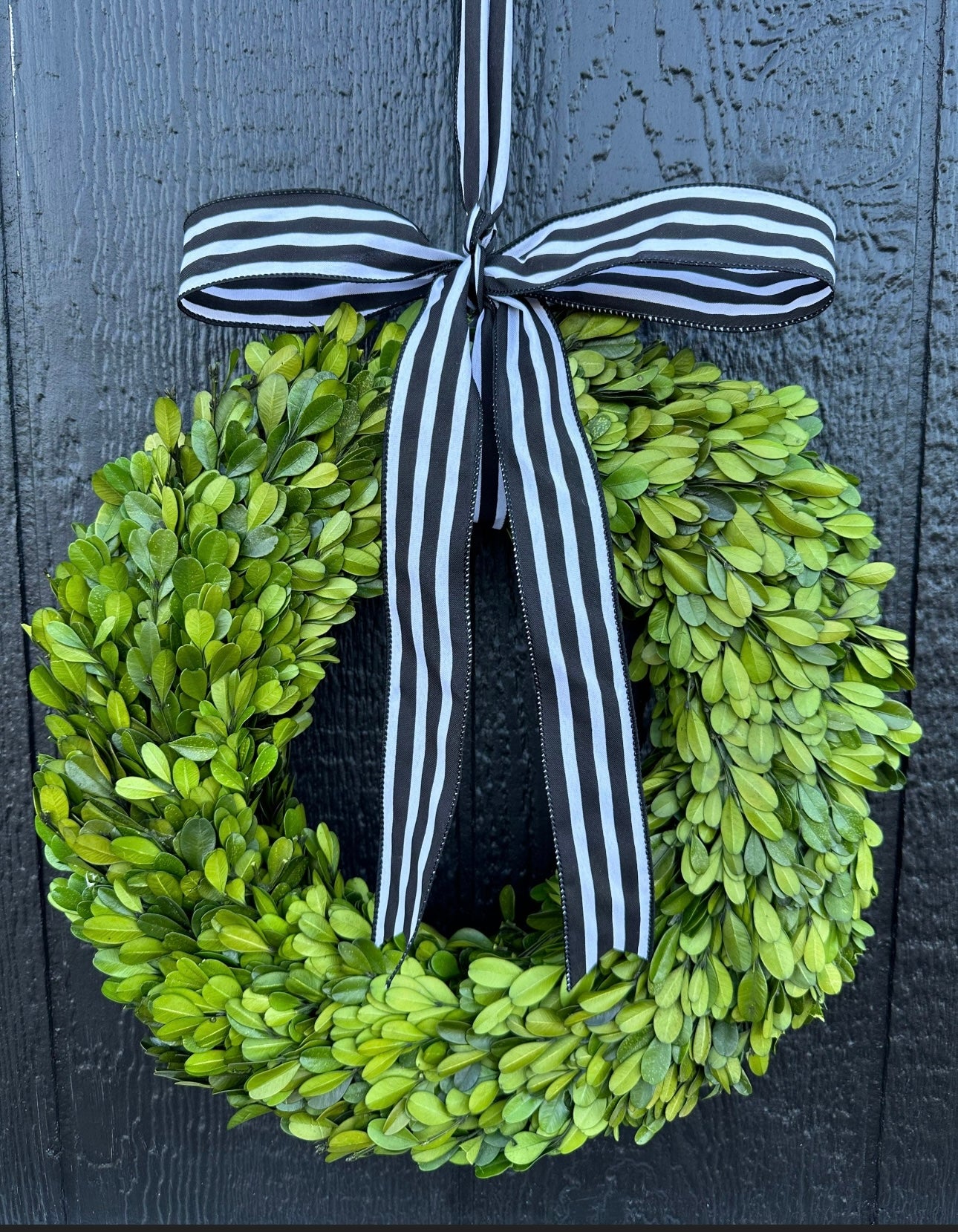 Preserved boxwood wreath