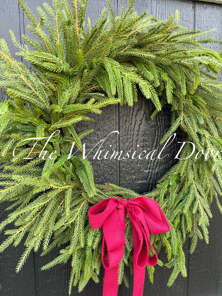 Norfolk pine wreath